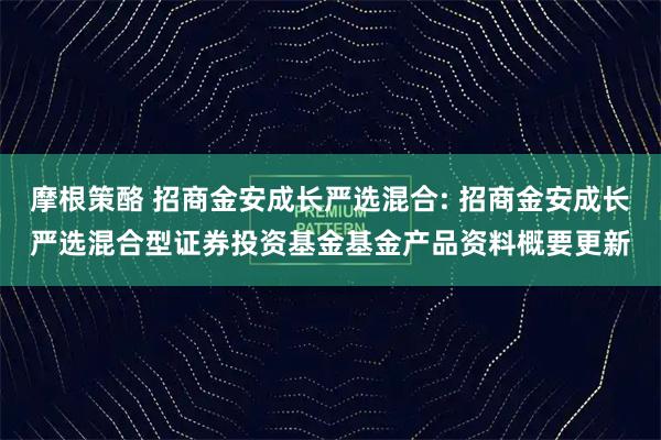 摩根策酪 招商金安成长严选混合: 招商金安成长严选混合型证券投资基金基金产品资料概要更新
